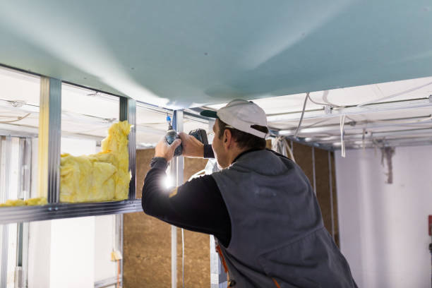 Best Commercial Insulation Services  in Brandermill, VA